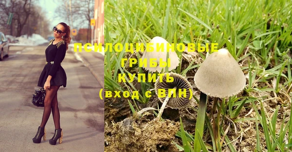 Альфа ПВП Алексин