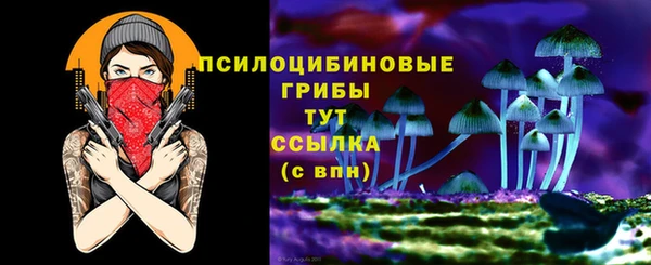 крисы Алексеевка