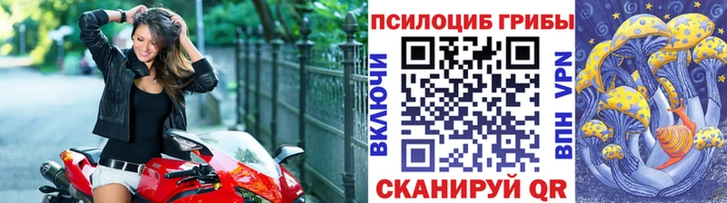 купить наркотик  hydra ССЫЛКА  Галлюциногенные грибы прущие грибы  Старый Оскол 