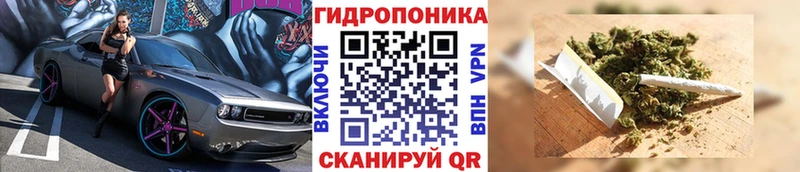 Конопля гибрид  Старый Оскол 